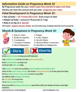 pregnancy-week-32-budding-star