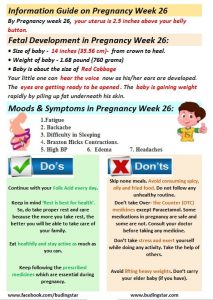 pregnancy-week-26-budding-star