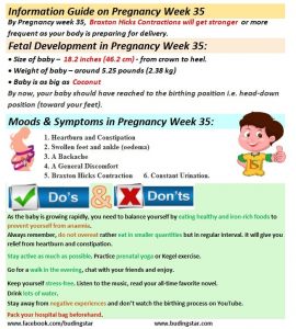 Pregnancy Week 35  Fetal Development, Mood & Tips