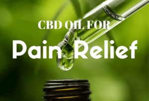 CBD Oil