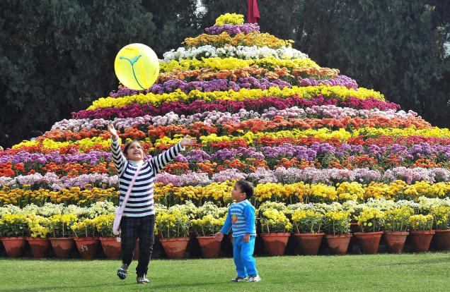 Activities for Kids in Chandigarh