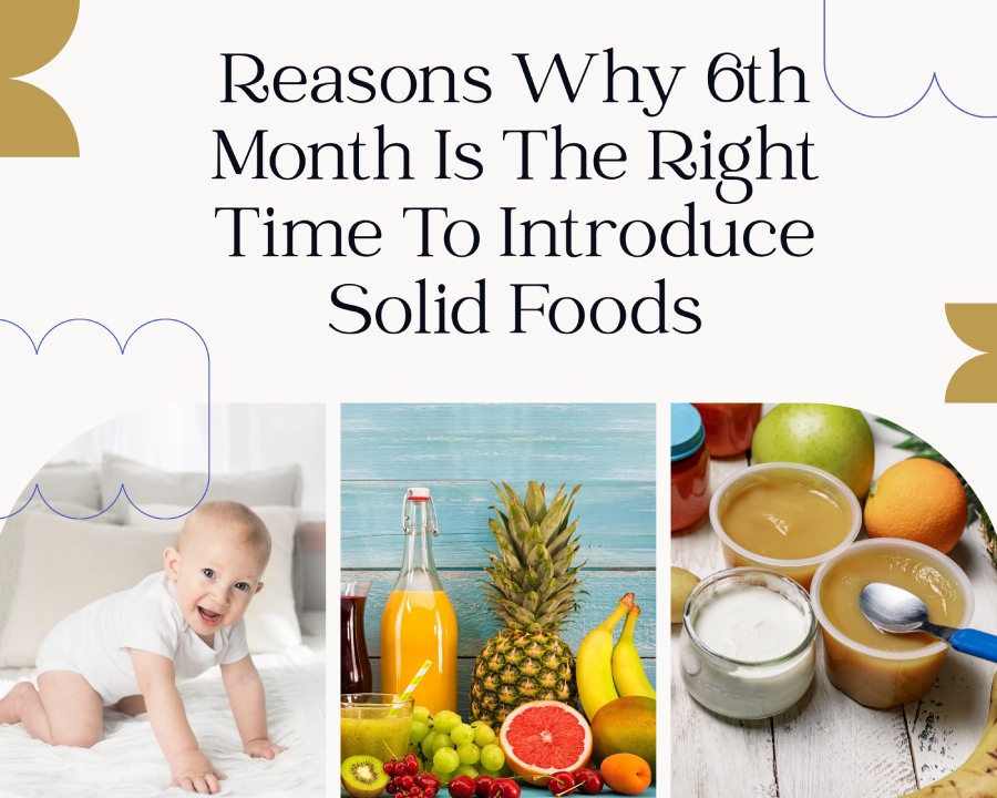Reasons Why 6th Month Is The Right Time To Introduce Solid Foods-Budingstar2