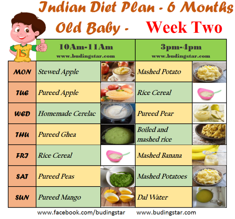 6 Month Baby Chart Diet Plan For Six Month Old Baby Buding Star
