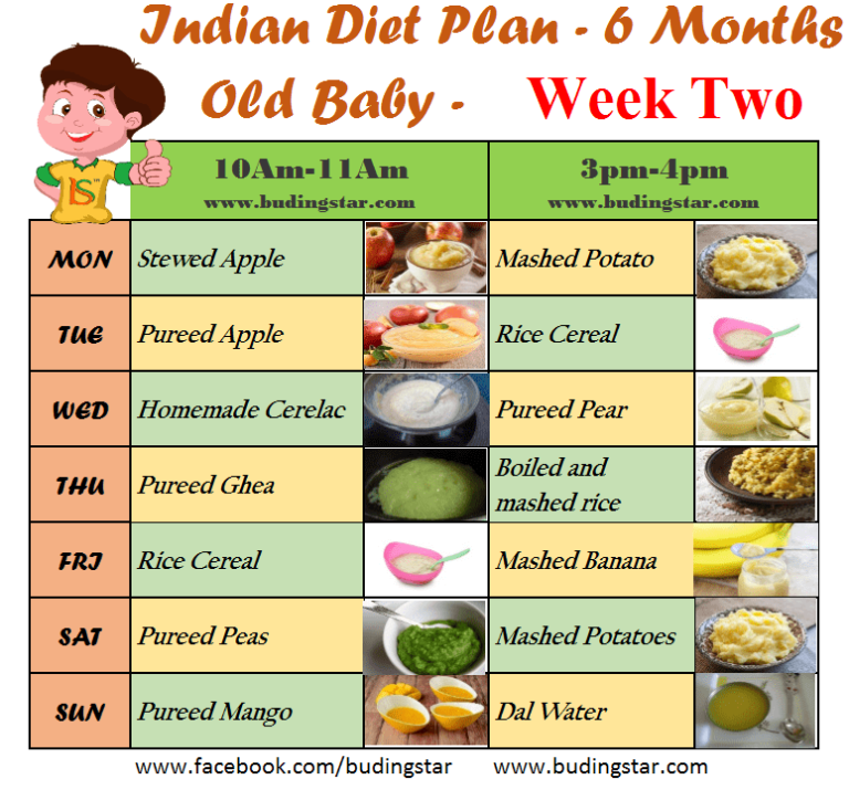 6 Month Baby Food Diet Plan For Six Month Old Baby Buding Star