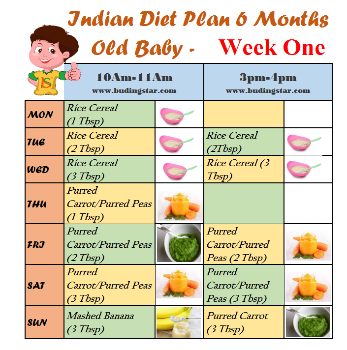 6 Month Baby Food - Diet Plan For Six Month Old Baby | Buding Star