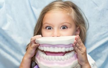Dental Hygiene in Babies, Toddlers and Children