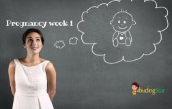 Pregnancy Week 1