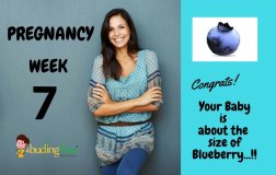 Pregnancy week 7