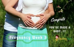 Pregnancy Week 3