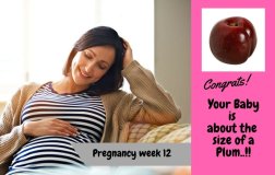 Pregnancy week 12