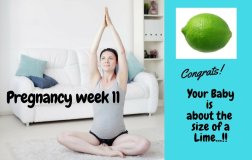 Pregnancy week 11