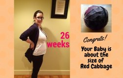 Pregnancy Week 26