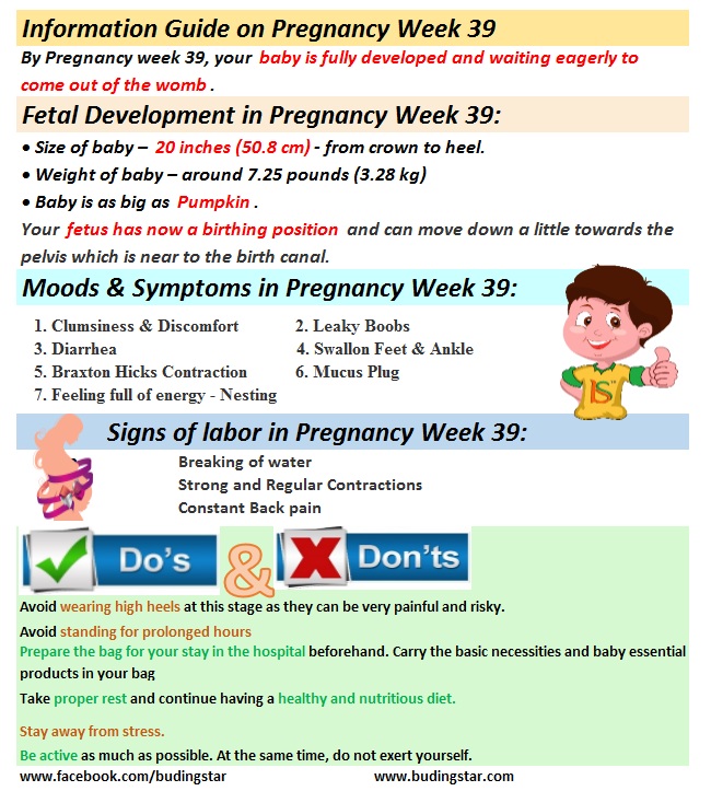 Pregnancy Week 39 | Fetal Development, Mood & Tips