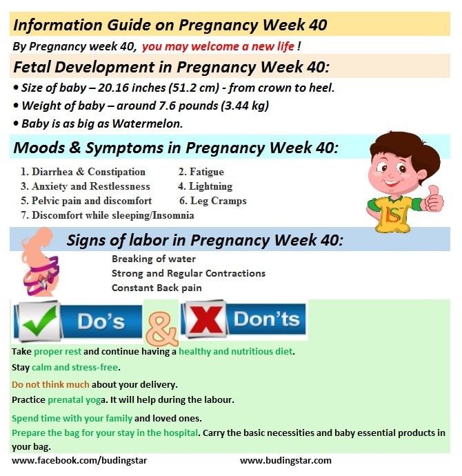 Pregnancy Week 40 | Fetal Development, Mood & Tips