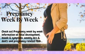 Pregnancy Week By Week