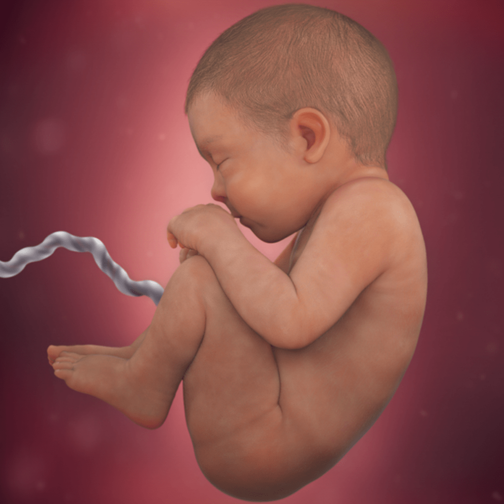Pregnancy Week 41 Fetal Development Mood And Tips 