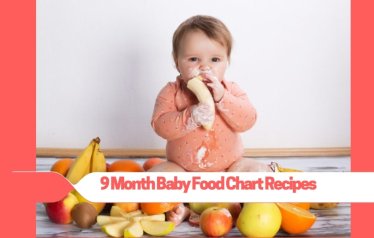 9 Month Baby Food Chart Recipes