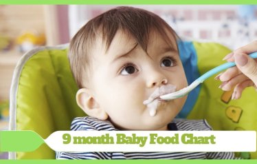 9 Month Baby Food Chart