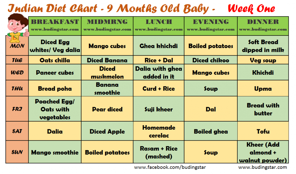 Sample Food Plan For 9 Month Old Baby Buding Star