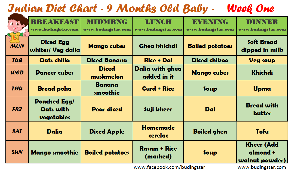 sample-food-plan-for-9-month-old-baby-buding-star