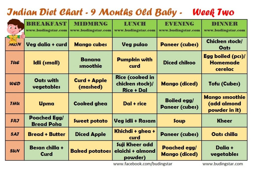 Sample Food Plan for 9 Month Old Baby | Buding Star