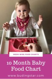 10 month baby food chart