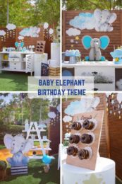 Best First Birthday themes for Boys