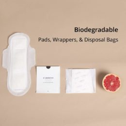 Eco-Friendly Sanitary Napkins for Indian Women