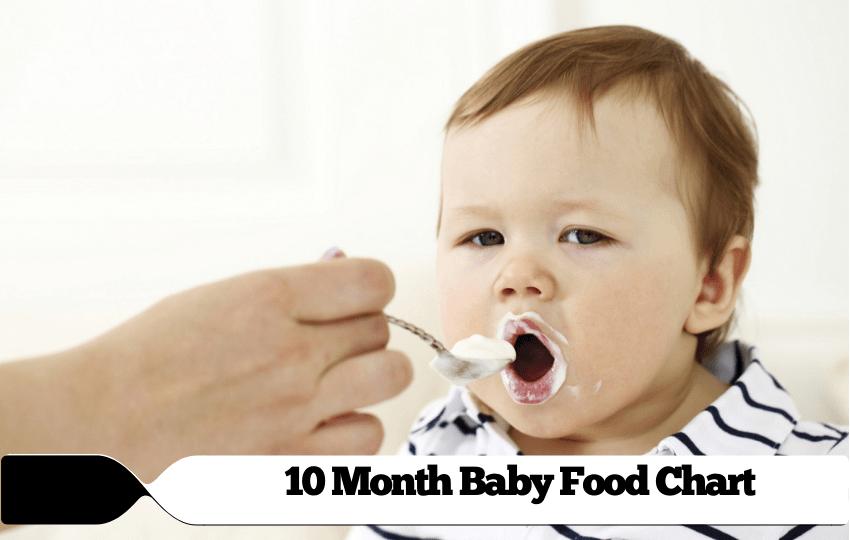 10 Month Baby Food Chart