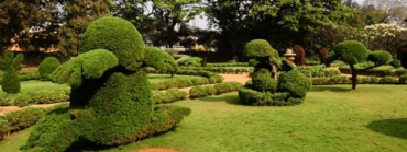 Best parks in Hyderabad