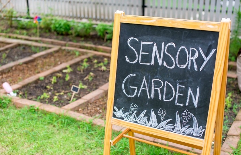 Tips For Creating A Stunning Sensory Garden