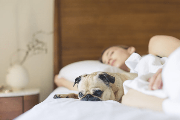 Best Sleeping Positions for Sleep Apnea Sufferers