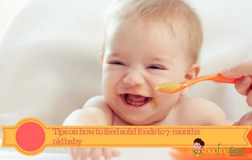 Important Tips on How to Feed Solid Foods to 7 7-Month-Old Baby