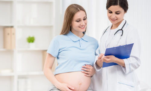 pregnancy mods
