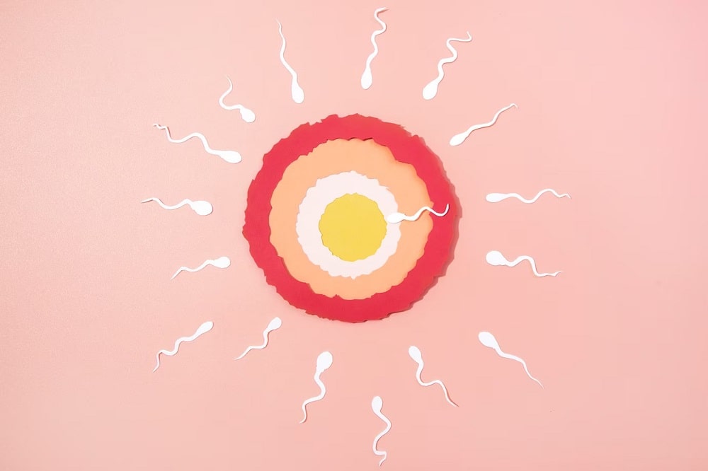 Decoding Normal Sperm Count and Its Crucial Role in Conception