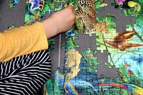 Start A Family Puzzle Or Lego Challenge