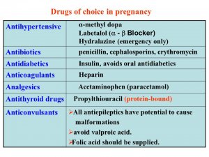 Pregnancy week 5