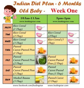 6 month old baby diet chart indian