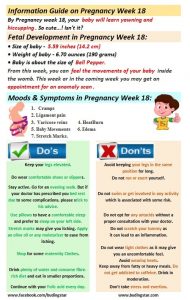 pregnancy-week-18-budding-star
