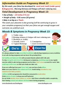 13 Weeks Pregnant: Symptoms, Tips, and More