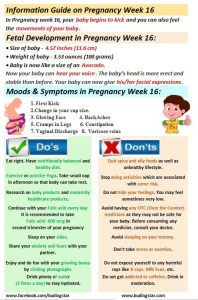 Pregnancy Trimester 2 Week 16 - StarAndDaisy