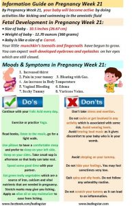 pregnancy-week-21-budding-star