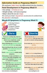 pregnancy-week-9-budding-star