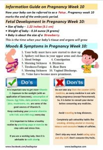 Pregnancy Week 10 | Fetal Development, Symptoms & Tips