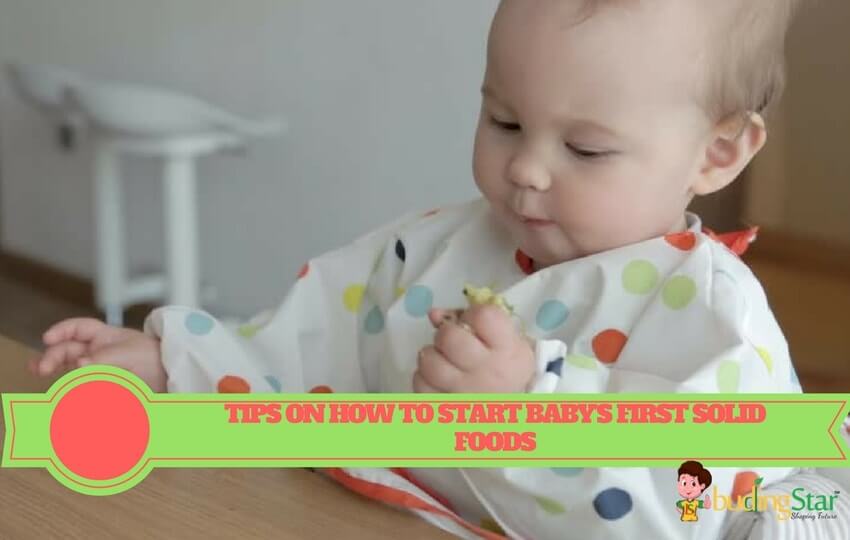 Indian Diet Plan for 6 Months Old Baby Budding Star